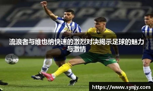 bsports官网入口